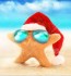 beach starfish santa