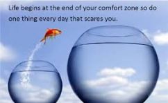 comfort zone fish